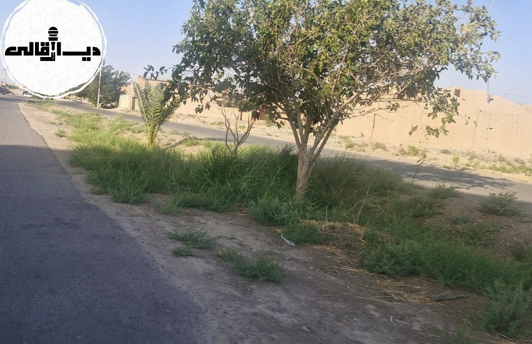 بلوار سرداران شهید راور در انتظار آبادانی