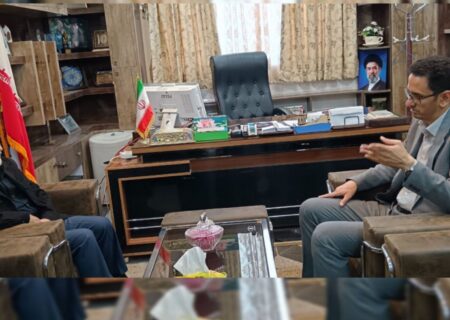 دیدار نماینده مردم کرمان و راور در مجلس شورای اسلامی با فرماندار راور